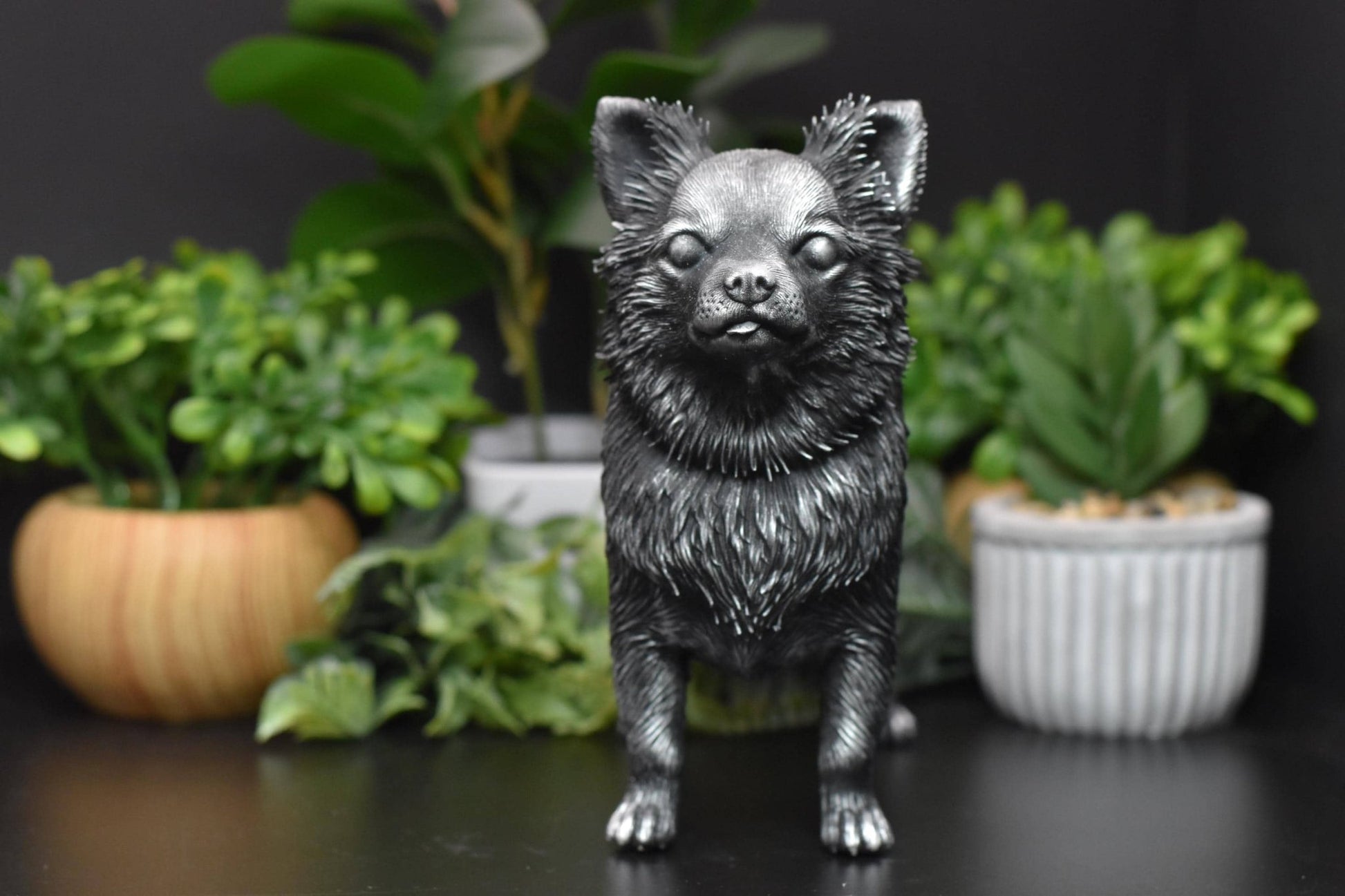  Front view of a black and silver Long Hair Chihuahua standing statue, showcasing the breed’s delicate and charming features